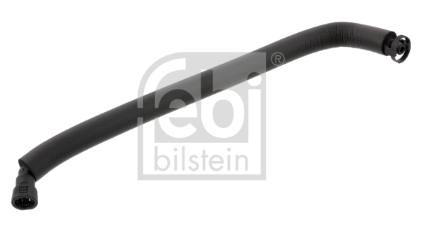 Hose, crankcase ventilation